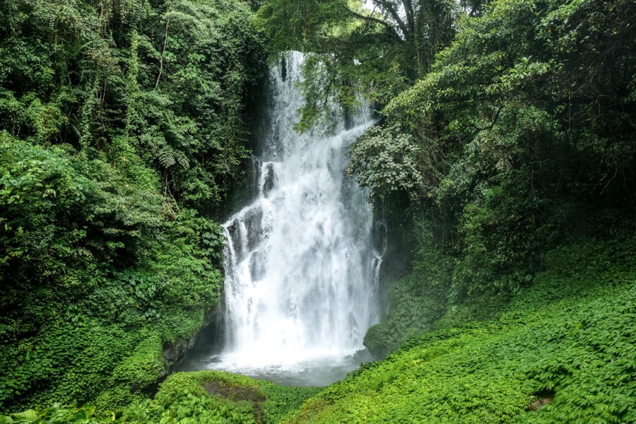 Waterfall surrounded by lush Bali jungle